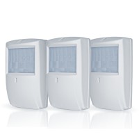 Marshall - Pack 2